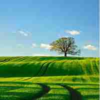 接‍口‍自​动﻿化‍框﻿架‍是‌什​么‍